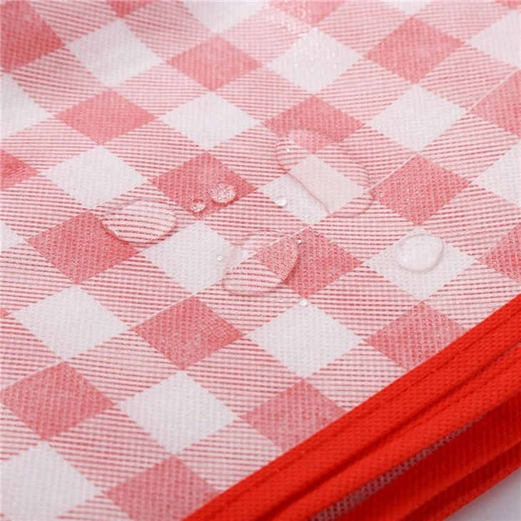 red picnic blanket